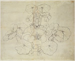 クレス（紙にペンとインク） 作： Philipp Otto Runge